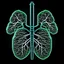 Placeholder: 4k, upscale, high resolution, lungs