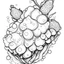 Placeholder: outline art for square broccoli twisted strawberry coloring page for kids, classic manga style, anime style, realistic modern cartoon style, white background, sketch style, only use outline, clean line art, no shadows, clear and well outlined
