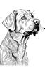 Placeholder: full dog draw coloring