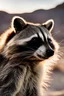 Placeholder: portrait of racoon in desert 4k ultra quality