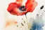 Placeholder: abstract watercolour poppy in the style of jean haines