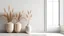 Placeholder: Modern bright minimalist interior blank wall in living room, dry plants in vases. 3d render illustration mock up.