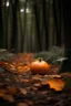 Placeholder: Sweet little pumpkin in the middle of a forest