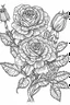 Placeholder: Outline art for coloring page, ROSES WITH STEMS, coloring page, white background, Sketch style, only use outline, clean line art, white background, no shadows, no shading, no color, clear