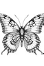 Placeholder: butterfly outline drawing