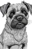 Placeholder: line drawing of a border terrier