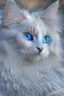 Placeholder: Attractive white cat with blue eyes and white feathers around it