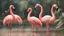 Placeholder: A beautiful flamingo company