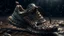 Placeholder: Fotorealtà delle splendide scarpe da RUNNING IN OF ROAD a forma di LEOPARDO di lee jeffries, 8k, dettagli elevati, rendering fluido, unreal engine 5, cinema 4d, HDR, effetto LUCIDO, colori BRILLANTI