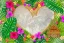 Placeholder:  Tropical flowers,heart drawing, crystals, tropical leaves, sacred altar, Fantasy temple,