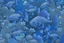 Placeholder: fish swimming in a garden of blue flowers, dark blue, detailed photo