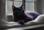 Placeholder: photo from An (black-purple cat) napping in a silver-white moonlights in windows, hyper-realistic, detailed, hypermaximalist, octane render, high textures, ultra realism, photorealistic, perfect symmetry, stunning