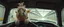 Placeholder: car driving happy 2d fluffy elf parrot in the style of Escher and Giger and Fallout 4, pinhole cam, airbrush 3d rendering, on tv screen:A five-second cinematic single take in a clean industrial presentation hall.