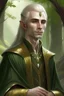 Placeholder: I want a picture of an elven man in the form of a wealthy prince