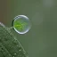 Placeholder: Looking through a raindrop