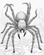 Placeholder: Cartoon outline, Goliath Bird-eating Spider, coloring pages, no color, highly detailed, black and white, white background, highly detailed