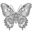 Placeholder: Butterfly coloring book 3500