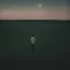 Placeholder: A solitary figure stands in the vastness of an open field, gazing at the distant horizon under a crescent moon. The photo focuses on the figure's face with an analog film photo style featuring a grainy texture and vintage aesthetics. A muted pastel color palette and minimalism create a mood of solitude with soft lighting from a low angle shot and rule of thirds composition. The wideangle lens captures the scene at twilight under a crescent moon. --ar 103:128 --style raw --v 5. 2