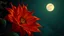 Placeholder: red orange green twisted flower, night, full moon, 8k, high quality, trending art, trending on artstation, sharp focus, studio photo, intricate details, highly detailed, by greg rutkowski