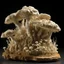 Placeholder: four mycelium high detail