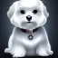 Placeholder: White Maltese dog, big eyes