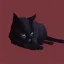 Placeholder: Gato negro, durmiendo, noche, triste, perspectiva angular