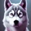 Placeholder: Husky, neon pink eyes, 8K, cinematic lighting, sharp focus, masterpiece, expert