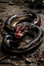 Placeholder: dead snake with blood