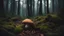 Placeholder: Fallen mushroom In a dark forest