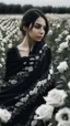 Placeholder: black lace scarf in a field of white roses.cinematic picture