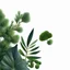 Placeholder: photorealistic abstract herbs, leaves of pinus sibirica gum and brassica napus on a white background