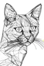 Placeholder: cat animal outline art with space white background line art , please no extra lines