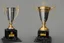 Placeholder: The trophy stands about 12 inches tall, and the base is a shiny, black marble pedestal with a silver plate on it, bearing the inscription "Champion's Triumph" in bold, elegant letters.