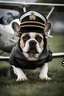 Placeholder: A realistic photo of a French bulldog flying a small plane, wearing a pilots hats