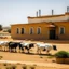 Placeholder: Farm house with cows and sheep in Libya