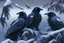 Placeholder: Ravens in winter, graphic novel style