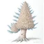 Placeholder: pinecone, tree, colored pencil drawing, realistic, serene, landscape, detailed