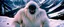 Placeholder: The Yeti by Stanley Kubrick (1989), depth of field, classic film, bokeh background blur, Kananaskis Country, psychedelic, sacred geometry, iconic image