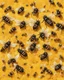 Placeholder: gentle background with bees, honeycombs in the background, bees on hives on a yellow field