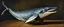 Placeholder: whale as punching bag, painted by Rembrandt