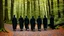 Placeholder: black robe hooded monks on the forest path