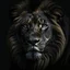 Placeholder: black lion portrait