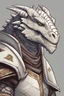 Placeholder: D&D character portrait of a white dragonborn named polaris who is a paladin