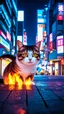Placeholder: Cats hair flame , Lazer eye , Tokyo city night view wallpaper