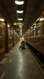 Placeholder: rabbit train in the style of Rembrandt and Fallout 4, with motion blur