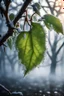 Placeholder: Ginger apple leaf frozen on the tree, frozen morning with fog , beautiful reflections, natural vivid colors, dynamic light and shadow, very detailed scene with intricate details,