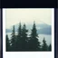 Placeholder: A polaroid photo of a group of fir trees in the background and a high hill in the distance. A lake. Odd dark person. Fog is present.