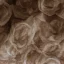 Placeholder: light white roses seamless texture, trending on artstation, 4k