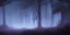 Placeholder: Dense forest with glowing plants, night time, fantasy