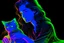 Placeholder: black light art, neon lines, contented brunette woman with fluffy kitten seeking something in the distance